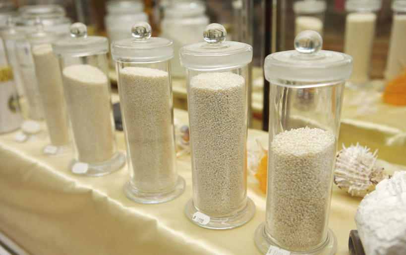 无人,横图,俯视,室内,白天,植物,玻璃,一堆,一排,许多,堆叠,堆积,朦胧,模糊,整齐,并列,并排,草药,药草,很多,中药,玻璃制品,排列,玻璃瓶,瓶子,药店,堆,队列,药材,中草药,平行,广口瓶,中药材,本草,彩图,高角度拍摄