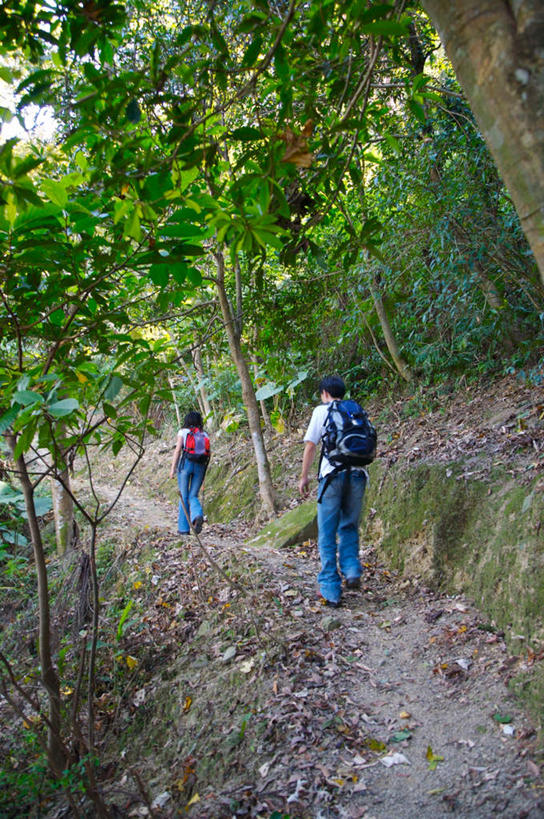 东方人,两个人,走,攀登,竖图,室外,白天,爱情,锻炼,旅游,度假,探险,运动,攀岩,森林,山,山脉,树林,植物,道路,路,亚洲,握,服装,裤子,包,工具,器材,山峰,小路,交通,山峦,浪漫,拿,旅行包,拿着,牛仔裤,休闲装,黄种人,娱乐,极限运动,树,树木,背面,衣服,绿色,背包,群山,享受,休闲,温暖,温馨,休闲服,器械,爬,恩爱,放松,握着,恋人,服饰,乡间小路,生长,成长,拐杖,和睦,室外运动,户外运动,登山杖,辅助设备,旅游包,登山棍,冒险,体育,男人,男性,年轻男性,年轻女性,女人,女性,亚洲人,情侣,步行,登山,爬山,攀爬,散步,走路,彩图,全身,健身,伴侣,融洽,双肩包