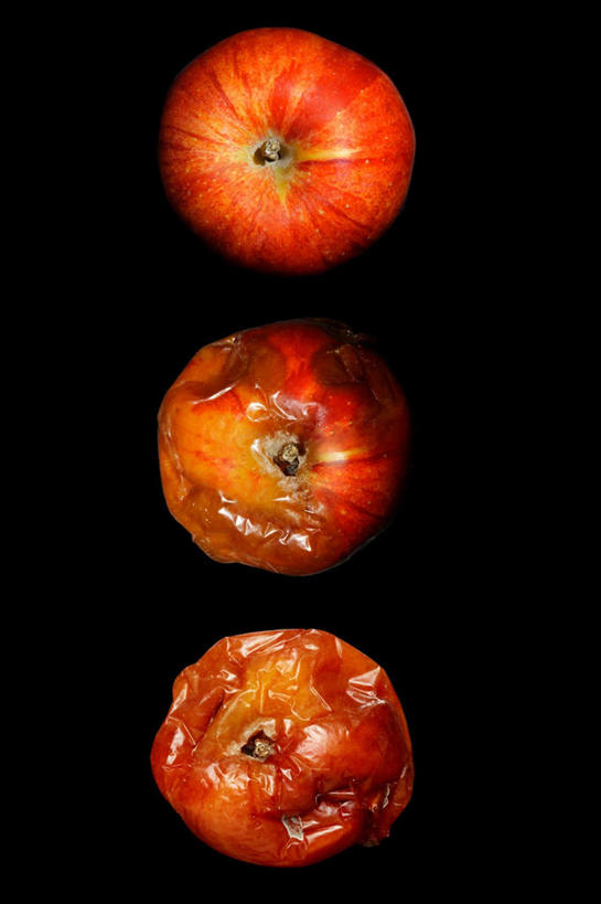 无人,竖图,俯视,室内,特写,白天,苹果,水果,黑色背景,新鲜,生食,食品,果实,食物,三个,红色,摄影,有机食品,绿色食品,影棚,腐烂,腐败,腐臭,腐朽,彩图,高角度拍摄,影棚拍摄,拍摄