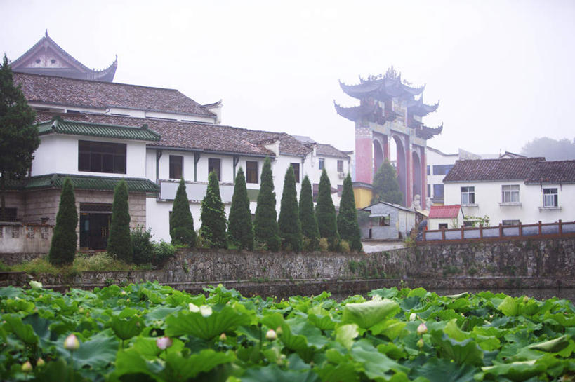 无人,寺庙,横图,室外,白天,仰视,旅游,度假,名胜古迹,植物,雾,标志建筑,地标,建筑,睡莲,叶子,九华山,中国,亚洲,节日,朦胧,模糊,遗迹,盛开,池塘,水池,荷叶,花蕾,古迹,文化,文物,娱乐,建设,古建筑,花,花瓣,花朵,鲜花,树,树木,绿色,自然,庙宇,花苞,花蕊,祈祷,享受,休闲,健康,旅游胜地,放松,许愿,宗教,佛教,信仰,生长,成长,纪念,祈求,迷雾,古文明,东亚,纯真,妖艳,安徽,安徽省,中华人民共和国,华东地区,莲叶,皖,水芹花,抒情,洁净,池州,池州市,释教,平安,水洋花,子午莲,叶,叶片,大雾,彩图,低角度拍摄,庙,寺,九子山,陵阳山