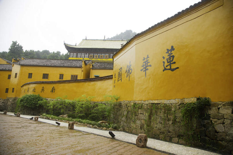 无人,寺庙,横图,室外,白天,仰视,旅游,度假,名胜古迹,植物,标志建筑,地标,建筑,九华山,中国,亚洲,一排,节日,遗迹,整齐,标志,文字,字符,古迹,文化,文物,娱乐,标识,建设,古建筑,树,树木,排列,绿色,自然,庙宇,祈祷,享受,休闲,健康,汉字,旅游胜地,放松,许愿,宗教,佛教,信仰,生长,成长,纪念,祈求,队列,中文,古文明,东亚,安徽,安徽省,中华人民共和国,华东地区,国文,华文,皖,池州,池州市,释教,平安,彩图,低角度拍摄,庙,寺,九子山,陵阳山