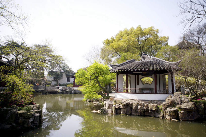 无人,横图,室外,白天,正面,旅游,度假,湖,湖泊,石头,美景,水,植物,中国,亚洲,石子,湖面,景观,水流,水面,娱乐,江苏,苏州,树,树木,绿色,自然,湖水,享受,休闲,假山,景色,放松,生长,成长,自然风光,东亚,江苏省,苏州市,拙政园,中华人民共和国,华东地区,苏,苏州园林,中国园林之母,石块,彩图,亭台