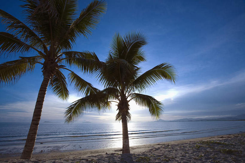 无人,横图,室外,白天,正面,旅游,度假,海浪,海洋,美景,沙滩,植物,棕榈树,叶子,三亚,中国,亚洲,沙子,海岸,景观,浪花,水平线,云,云朵,辽阔,绿叶,海平线,沙地,云彩,娱乐,树,树木,海南,蓝色,绿色,白云,蓝天,天空,自然,海水,天,享受,休闲,广阔,嫩叶,景色,放松,海南省,生长,晴朗,成长,一望无际,自然风光,海景,东亚,棕榈叶,三亚湾,三亚市,中华人民共和国,华南地区,琼,无边无际,一马平川,叶,叶片,大海,风浪,海,海水的波动,海滩,近岸浪,涌浪,晴空,彩图,三亚湾度假区,水天相接,水天一线