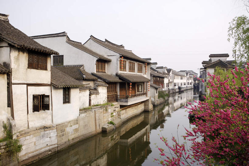 无人,横图,室外,白天,正面,旅游,度假,河流,名胜古迹,水,植物,标志建筑,地标,建筑,中国,亚洲,遗迹,河水,水流,建筑群,古迹,文物,娱乐,建设,古建筑,浙江,树,树木,古镇,浙江省,绿色,自然,享受,休闲,旅游胜地,放松,生长,成长,古文明,东亚,西塘,中华人民共和国,华东地区,浙,嘉兴,嘉兴市,西塘古镇,西塘镇,彩图