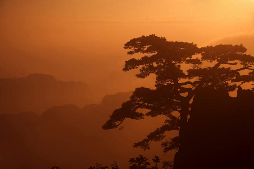 无人,横图,俯视,室外,白天,旅游,度假,黄山,美景,日落,山,山脉,植物,雾,松树,中国,亚洲,朦胧,模糊,景观,山峰,晚霞,霞光,落日,山峦,娱乐,树,树木,绿色,自然,黄昏,群山,享受,休闲,景色,彩霞,放松,生长,成长,迷雾,自然风光,坚定,东亚,安徽,安徽省,黄山市,中华人民共和国,华东地区,长寿,皖,贞洁,夕照,黟山,大雾,夕阳,彩图,高角度拍摄,世界地质公园,天下第一奇山,斜阳