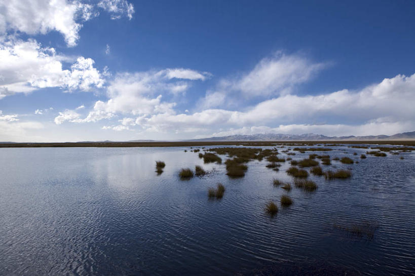 无人,横图,室外,白天,正面,旅游,度假,湖,湖泊,美景,水,中国,亚洲,阴影,波纹,光线,影子,地平线,湖面,景观,水流,水面,云,云朵,辽阔,地面,涟漪,云彩,娱乐,蓝色,白云,倒影,蓝天,水纹,天空,阳光,自然,波浪,湖水,天,享受,休闲,广阔,景色,放松,四川省,晴朗,一望无际,倒映,自然风光,延伸,东亚,四川,阿坝,中华人民共和国,天地相交,水晕,西南地区,阿坝藏族羌族自治州,阿坝州,川,无边无际,一马平川,反照,晴空,彩图,花湖,热尔大坝,若尔盖县