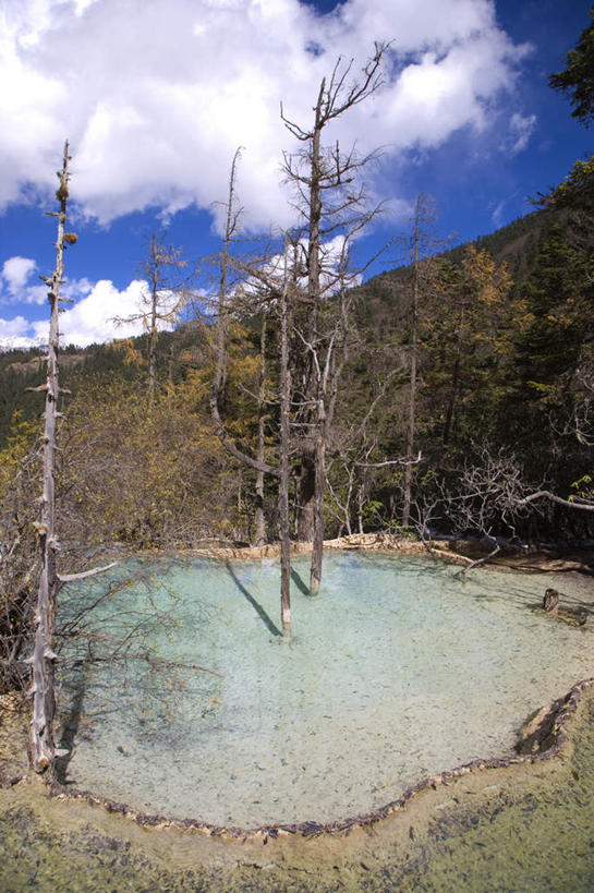 无人,公园,竖图,室外,白天,正面,旅游,度假,美景,森林,山,山脉,树林,植物,中国,亚洲,阴影,光线,影子,池塘,景观,山峰,水池,云,云朵,山峦,云彩,娱乐,树,树木,蓝色,绿色,白云,蓝天,天空,阳光,自然,群山,天,享受,休闲,景色,放松,四川省,生长,晴朗,成长,国家公园,自然风光,东亚,四川,中华人民共和国,西南地区,川,松潘县,五彩池,黄龙国家地质公园,松州,晴空,彩图,钙华彩池
