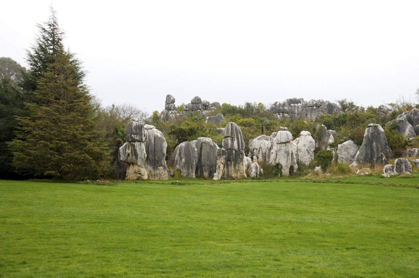 无人,横图,室外,白天,正面,旅游,度假,草地,草坪,石头,美景,石林,植物,昆明,中国,亚洲,阴影,光线,石子,影子,景观,娱乐,云南,草,树,树木,蓝色,绿色,蓝天,天空,阳光,自然,天,享受,休闲,景色,放松,生长,晴朗,成长,自然风光,昆明市,东亚,云南省,万里无云,中华人民共和国,省会,西南地区,滇,石林县,石林彝族自治县,石块,岩石,晴空,晴空万里,彩图