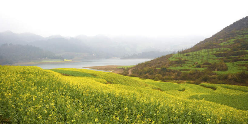 无人,农田,横图,室外,白天,正面,旅游,度假,庄稼,农作物,草地,草坪,河流,美景,山,山脉,水,植物,雾,中国,亚洲,朦胧,模糊,河水,景观,山峰,水流,山峦,娱乐,云南,草,树,树木,绿色,自然,群山,享受,休闲,景色,放松,生长,成长,迷雾,自然风光,东亚,罗平,云南省,曲靖市,曲靖,罗平县,中华人民共和国,西南地区,滇,大雾,彩图,耕地,庄稼田