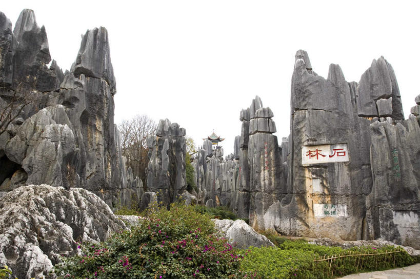 无人,横图,室外,白天,仰视,旅游,度假,石头,美景,山,山脉,石林,植物,昆明,中国,亚洲,石子,景观,山峰,枝条,山峦,娱乐,云南,树,树木,树枝,自然,群山,享受,休闲,景色,放松,自然风光,昆明市,东亚,云南省,中华人民共和国,省会,西南地区,滇,虬枝,枝杈,石林县,石林彝族自治县,石块,岩石,彩图,低角度拍摄