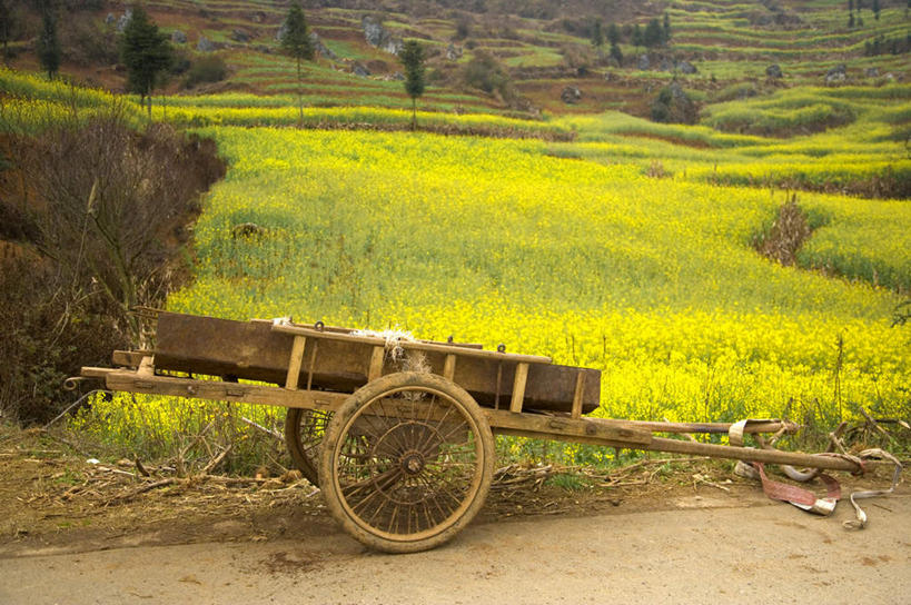 无人,横图,室外,白天,正面,旅游,度假,草地,草坪,美景,山,山脉,植物,道路,路,中国,亚洲,一辆,景观,山峰,小路,交通,山峦,娱乐,云南,车,草,树,树木,绿色,自然,手推车,交通工具,群山,享受,休闲,景色,放松,乡间小路,生长,成长,自然风光,载具,东亚,罗平,云南省,曲靖市,曲靖,罗平县,中华人民共和国,西南地区,滇,彩图