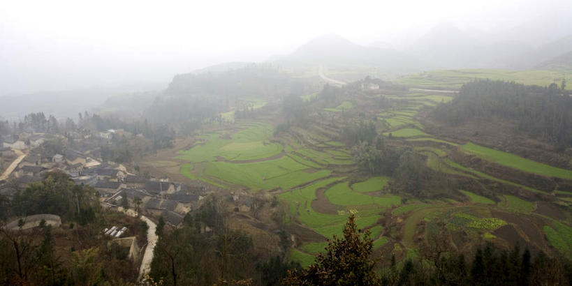 无人,农田,横图,俯视,室外,白天,旅游,度假,庄稼,梯田,农作物,草地,草坪,美景,山,山脉,植物,中国,亚洲,曲折,弯曲,景观,山峰,山峦,娱乐,云南,草,树,树木,绿色,天空,自然,群山,天,享受,休闲,景色,放松,蜿蜒,生长,晴朗,成长,自然风光,东亚,罗平,云南省,曲靖市,曲靖,罗平县,万里无云,中华人民共和国,西南地区,滇,晴空,晴空万里,彩图,高角度拍摄,耕地,庄稼田