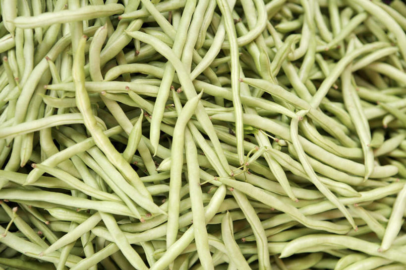 无人,横图,俯视,室内,特写,白天,植物,豆,蔬菜,一堆,许多,堆叠,堆积,新鲜,豆类,豆子,刀豆,食品,很多,四季豆,食物,绿色,有机食品,绿色食品,堆,芸豆,豆科,菜豆,二季豆,白肾豆,架豆,玉豆,去豆,彩图,高角度拍摄