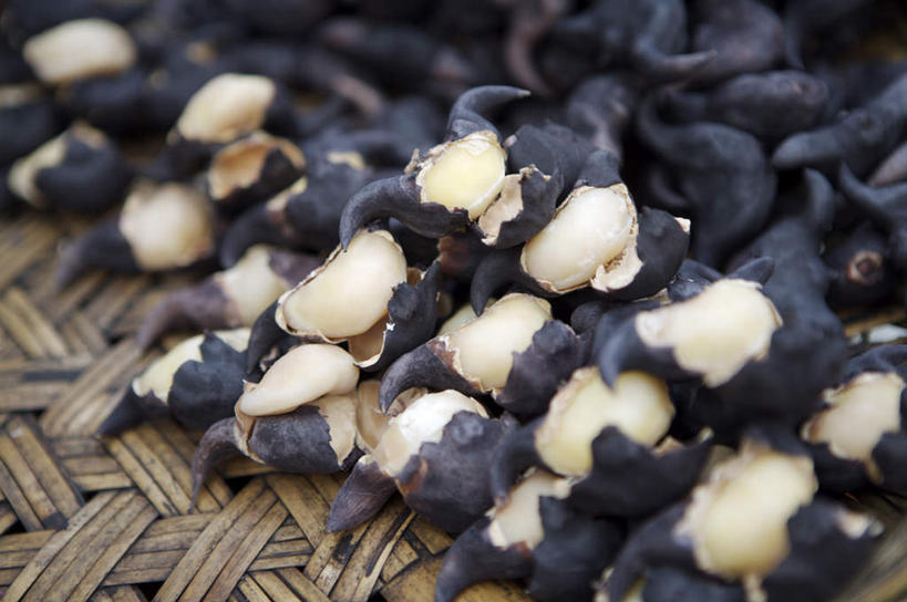 无人,交叉,横图,俯视,室内,特写,白天,竹子,一堆,许多,堆叠,堆积,竹制,朦胧,模糊,编织,篮子,很多,一个,黑色,竹篮,菱角,单个,竹条,堆,交织,竹制品,穿插,芰实,菱实,乌菱,彩图,高角度拍摄