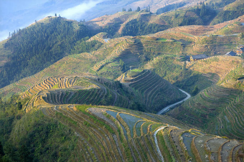 无人,农田,横图,俯视,室外,白天,旅游,度假,庄稼,梯田,农作物,草地,草坪,石头,美景,山,山脉,植物,中国,亚洲,曲折,弯曲,石子,景观,山顶,山峰,山峦,娱乐,草,绿色,自然,群山,享受,休闲,景色,放松,蜿蜒,广西,自然风光,东亚,沉积岩,龙胜,龙脊梯田,广西壮族自治区,中华人民共和国,桂,华南地区,颠峰,极峰,龙胜各族自治县,水成岩,龙胜梯田,石块,岩石,彩图,高角度拍摄,耕地,庄稼田