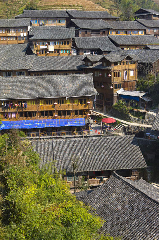 无人,家,竖图,俯视,室外,白天,旅游,度假,美景,植物,建筑,中国,亚洲,瓦片,房屋,屋子,景观,瓦,娱乐,楼房,住宅,树,树木,绿色,自然,享受,休闲,景色,放松,建造,生长,成长,广西,自然风光,东亚,屋瓦,龙胜,龙脊梯田,广西壮族自治区,中华人民共和国,桂,华南地区,龙胜各族自治县,龙胜梯田,彩图,高角度拍摄,房子