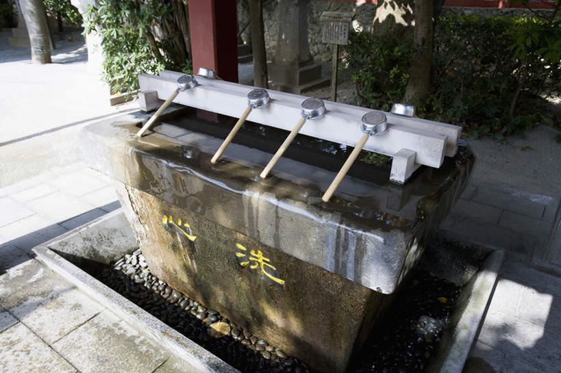 无人,横图,室外,白天,正面,纯洁,水,植物,竹子,日本,亚洲,一排,整齐,液体,勺子,水滴,冲绳,那霸,树,树木,排列,绿色,自然,调羹,汤匙,生长,成长,冲绳县,高雅,队列,东亚,琉球群岛,日本国,九州地方,奉献,县厅,质朴,正直,那霸市,担当,竹,彩图,奋进,操守,四君子,岁寒三友,性坚,虚怀,虚心,善群,卓尔