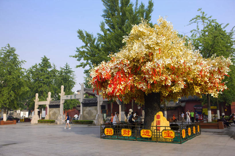 无人,栏杆,横图,室外,白天,正面,度假,美景,植物,城市风光,标志建筑,城市,地标,建筑,南京,中国,亚洲,阴影,光线,标志,扶手,文字,影子,字符,景观,建筑群,娱乐,标识,建设,江苏,护栏,树,树木,蓝色,绿色,蓝天,天空,阳光,自然,天,享受,休闲,汉字,景色,放松,生长,晴朗,成长,夫子庙,中文,东亚,江苏省,南京市,万里无云,中华人民共和国,华东地区,苏,省会,国文,华文,南京夫子庙,石头城,晴空,晴空万里,彩图,许愿签