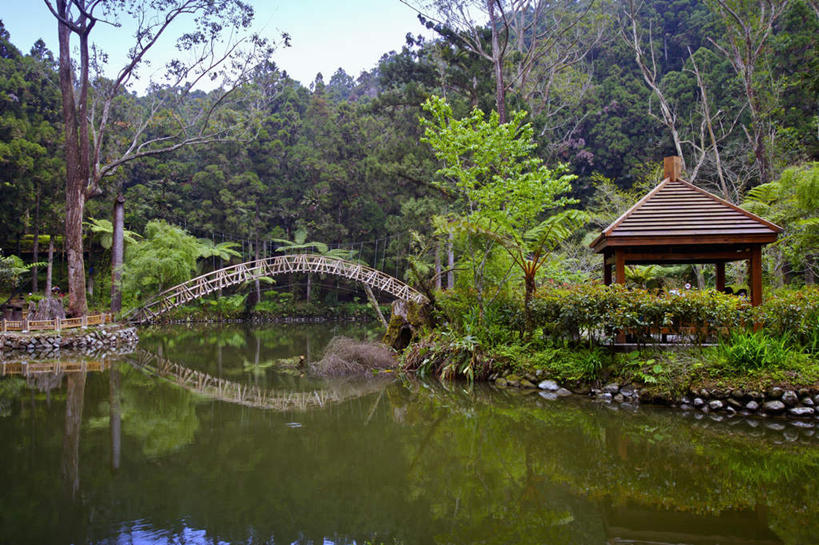 无人,横图,室外,白天,正面,旅游,度假,湖,湖泊,美景,山,山脉,树林,水,植物,标志建筑,地标,建筑,台湾,中国,亚洲,阴影,光线,木板,影子,亭子,湖面,景观,山峰,水流,水面,建筑群,桥,木桥,山峦,娱乐,建设,栈桥,树,树木,蓝色,绿色,蓝天,天空,阳光,自然,凉亭,湖水,群山,天,享受,休闲,景色,放松,生长,晴朗,成长,人行桥,木板桥,自然风光,东亚,南投县,鹿谷乡,万里无云,港澳台,中华人民共和国,台湾省,南投,晴空,晴空万里,彩图,台