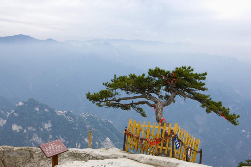 无人,栏杆,横图,俯视,室外,白天,旅游,度假,华山,美景,山,山脉,植物,雾,松树,中国,亚洲,朦胧,模糊,栅栏,景观,篱笆,山峰,围栏,山峦,娱乐,护栏,树,树木,绿色,自然,群山,享受,休闲,景色,放松,生长,成长,迷雾,自然风光,坚定,东亚,陕西,陕西省,中华人民共和国,长寿,贞洁,西北地区,陕,渭南,渭南市,奇险天下第一山,西岳,西岳华山,大雾,彩图,高角度拍摄,五岳之一