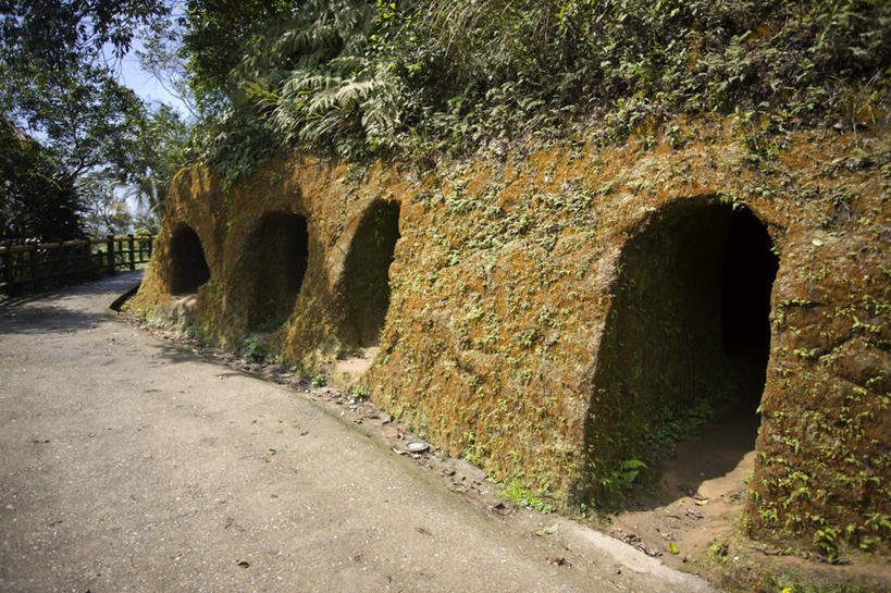 无人,横图,室外,白天,正面,旅游,度假,名胜古迹,植物,标志建筑,地标,建筑,台湾,中国,亚洲,遗迹,墙,洞,古迹,文物,娱乐,建设,古建筑,墙壁,墙面,树,树木,绿色,自然,享受,休闲,旅游胜地,放松,洞穴,生长,成长,古文明,东亚,台北县,穴,港澳台,中华人民共和国,台湾省,新北,新北市,彩图,平溪区,台