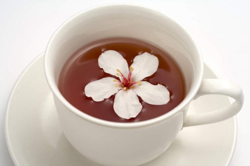 无人,横图,俯视,室内,特写,白天,白色背景,杯子,餐具,阴影,盛开,反射,碟子,盘,影子,陶瓷,陶瓷制品,花蕾,花,花瓣,花朵,鲜花,一朵,一个,白色,盘子,马克杯,水杯,碟,花苞,花蕊,摄影,影棚,单个,彩图,高角度拍摄,影棚拍摄,拍摄,心神不宁,情窦初开,油桐花,三平桐,光桐