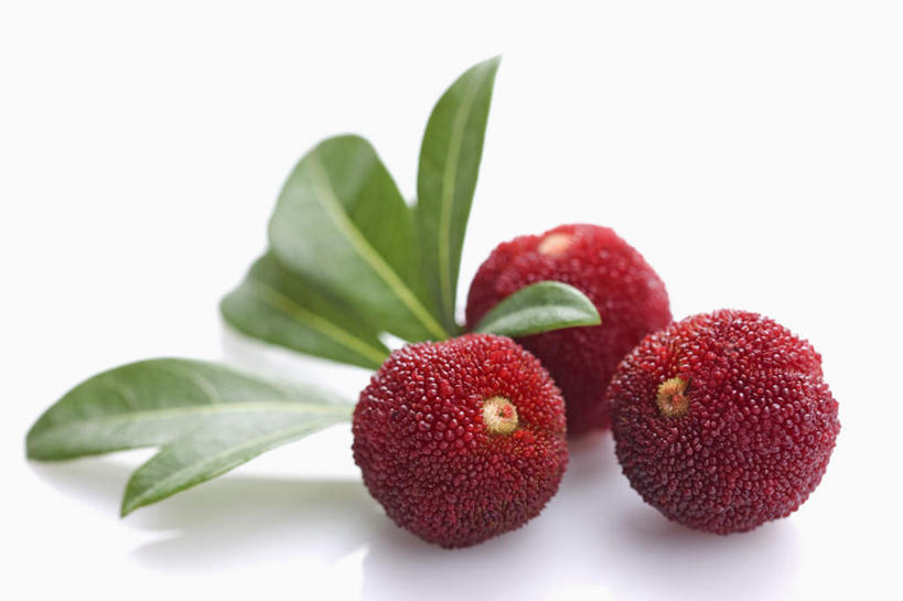 无人,横图,俯视,室内,特写,白天,白色背景,餐桌,桌子,水果,叶子,阴影,新鲜,反射,影子,生食,食品,果实,绿叶,食物,红色,嫩叶,摄影,杨梅,有机食品,绿色食品,影棚,餐台,白蒂梅,圣生梅,叶,叶片,彩图,高角度拍摄,影棚拍摄,拍摄