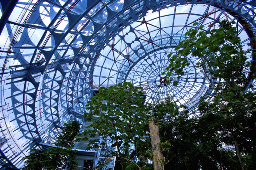 无人,博物馆,横图,室内,白天,仰视,旅游,度假,植物,窗户,标志建筑,地标,建筑,台湾,中国,亚洲,一排,许多,阴影,研究,整齐,反射,影子,教育,娱乐,建设,玻璃窗,树,树木,排列,绿色,自然,享受,休闲,旅游胜地,放松,生长,成长,展览,队列,欣赏,陈列,东亚,国立自然科学博物馆,港澳台,中华人民共和国,台湾省,台中,台中市,典藏,彩图,低角度拍摄,台