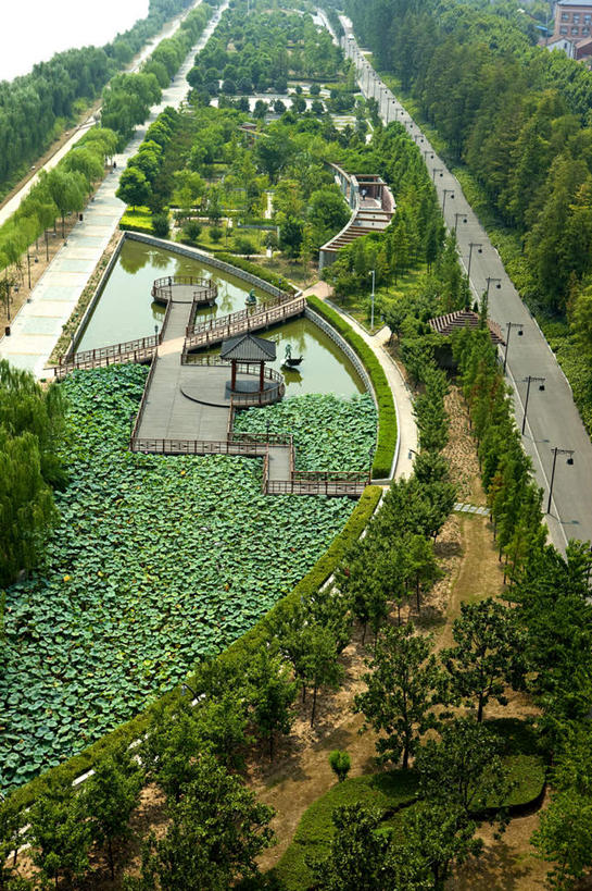 无人,竖图,俯视,航拍,室外,白天,旅游,度假,名胜古迹,标志建筑,地标,建筑,路灯,睡莲,叶子,照明,武汉,中国,亚洲,遗迹,盛开,灯光,荷叶,花蕾,古迹,文物,娱乐,建设,古建筑,灯,花,花瓣,花朵,鲜花,花苞,花蕊,享受,休闲,旅游胜地,放松,照亮,照明设备,鸟瞰,古文明,东亚,纯真,妖艳,湖北,湖北省,武汉市,汉阳,晴川阁,中华人民共和国,省会,莲叶,水芹花,抒情,洁净,华中地区,鄂,水洋花,子午莲,叶,叶片,彩图,高角度拍摄,龟山,汉阳区,晴川楼