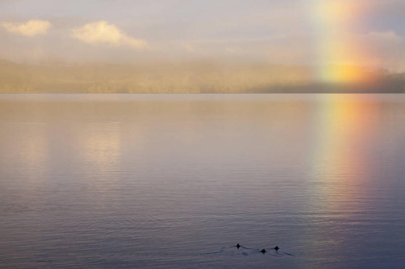 无人,横图,室外,白天,正面,旅游,度假,彩虹,日出,海浪,海洋,美景,山,山脉,太阳,华盛顿,美国,景观,浪花,山峰,水平线,辽阔,朝霞,晨曦,海平线,黎明,山峦,娱乐,阳光,自然,海水,群山,享受,休闲,广阔,景色,放松,一望无际,北美,北美洲,自然风光,美洲,海景,华盛顿州,常绿之州,常青州,北亚美利加洲,亚美利加洲,无边无际,一马平川,大海,风浪,海,海水的波动,近岸浪,涌浪,朝阳,虹,虹桥,七彩虹,天虹,彩图,卯时,破晓,日始,基萨普县,水天相接,水天一线
