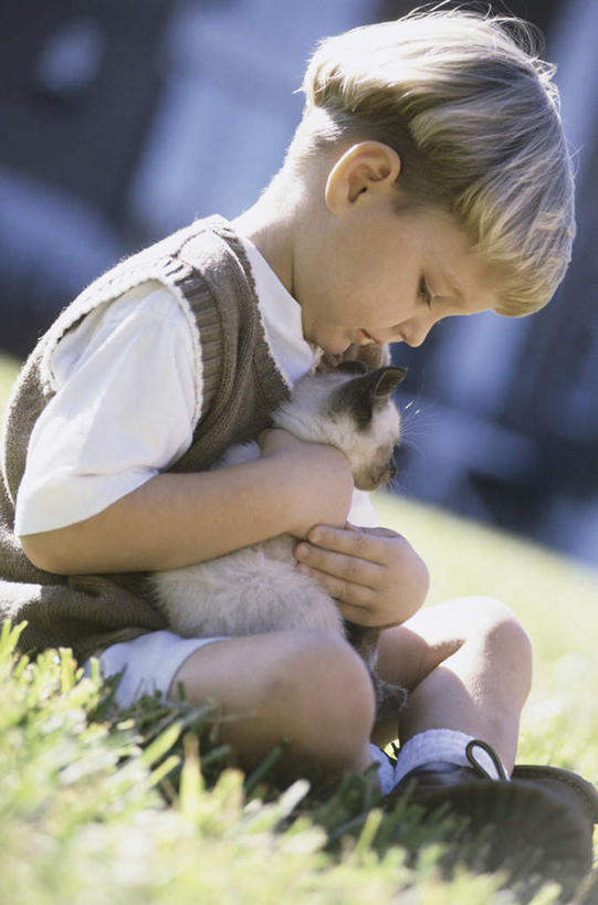 西方人,儿童,一个人,坐,抱,笑,盘腿,微笑,竖图,室外,白天,侧面,纯洁,草地,草坪,植物,宠物,猫,欧洲,欧洲人,仅一个男性,仅一个人,阴影,服装,朦胧,模糊,光线,暹罗猫,影子,注视,休闲装,草,一只,小孩,衣服,绿色,阳光,动物,低头,观察,看,仅一个小孩,休闲,休闲服,可爱,童年,童趣,服饰,抱着,观看,察看,搂着,关注,猫咪,童真,烂漫,无邪,泰国猫,西母猫,天真,男孩,男人,男性,白种人,孩子,搂,搂抱,盘腿而坐,盘膝,盘着腿的,盘着腿坐,双腿交叉,坐着,半身,彩图,男生