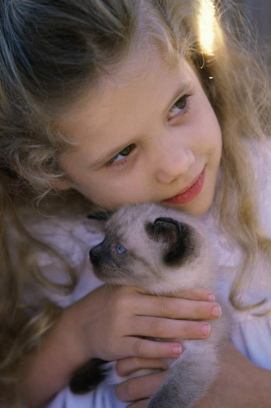 西方人,儿童,一个人,坐,抱,笑,微笑,竖图,室外,白天,正面,纯洁,宠物,猫,欧洲,欧洲人,仅一个女性,仅一个人,阴影,服装,光线,暹罗猫,影子,注视,休闲装,一只,小孩,衣服,阳光,动物,观察,看,靠,靠着,仅一个小孩,休闲,休闲服,可爱,童年,童趣,服饰,抱着,观看,察看,搂着,关注,猫咪,童真,烂漫,无邪,泰国猫,西母猫,天真,女孩,女人,女性,白种人,孩子,搂,搂抱,坐着,半身,彩图,女生