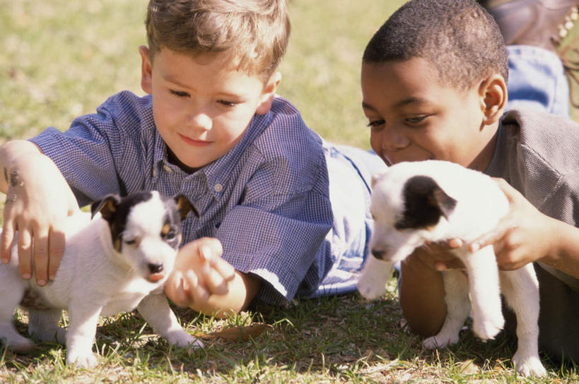 西方人,儿童,两个人,伙伴,朋友,笑,微笑,横图,室外,白天,正面,友谊,纯洁,宠物,狗,欧洲,非洲,黑人,欧洲人,幼小,阴影,服装,朦胧,模糊,光线,影子,注视,休闲装,小孩,衣服,阳光,动物,观察,看,趴着,两只,休闲,休闲服,可爱,童年,童趣,喂,服饰,观看,察看,关注,童真,烂漫,无邪,忠诚,天真,友情,男孩,男人,男性,白种人,非洲人,犬,趴,半身,彩图,男生