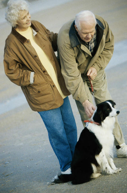 西方人,老年人,两个人,家庭,夫妻,站,笑,摸,微笑,露齿笑,竖图,俯视,室外,白天,爱情,海浪,海洋,沙滩,宠物,狗,欧洲,欧洲人,抚摸,弯腰,服装,沙子,海岸,浪花,沙地,浪漫,注视,休闲装,一只,衣服,海水,动物,观察,看,站着,休闲,温暖,温馨,一家人,休闲服,恩爱,可爱,恋人,服饰,观看,和睦,察看,伯恩山犬,关注,手插袋,单手插袋,海景,忠诚,单手抄兜,单手放兜,弯身,伯尔尼兹山地犬,伯尼尔森嫩猎犬,伯尼塞牧牛犬,老年男性,老年女性,男人,男性,女人,女性,白种人,夫妇,情侣,大海,风浪,海,海水的波动,海滩,近岸浪,涌浪,犬,插兜,触摸,接触,手插兜,手放口袋,站立,彩图,高角度拍摄,全身,伴侣,融洽,手抄兜