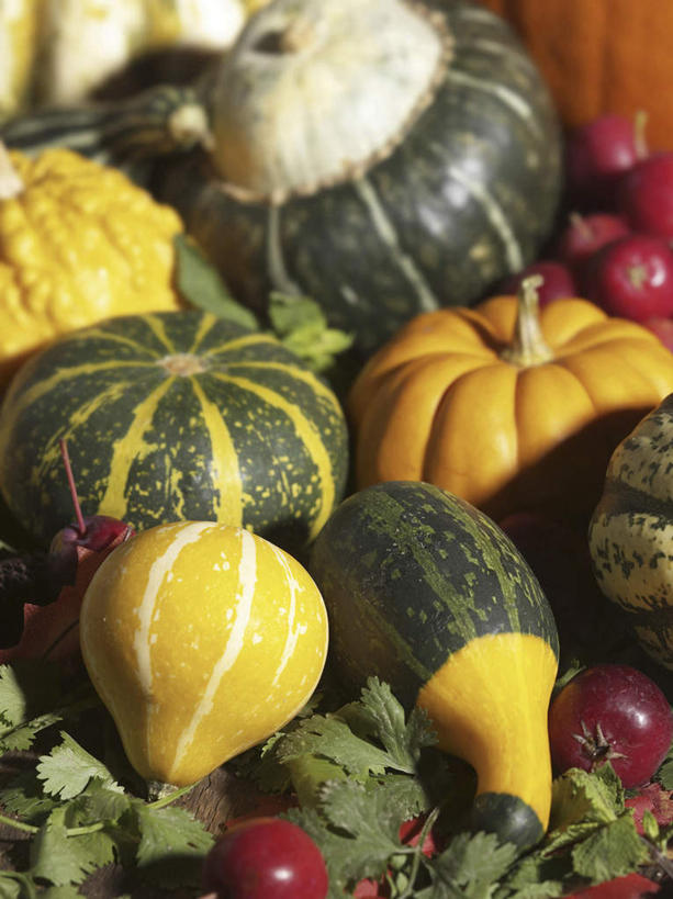 无人,竖图,俯视,室内,特写,白天,苹果,南瓜,蔬菜,水果,一堆,许多,阴影,堆叠,堆积,新鲜,反射,影子,金瓜,生食,食品,果实,蔬果,番瓜,食物,有机食品,绿色食品,堆,麦瓜,倭瓜,彩图,高角度拍摄