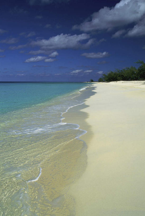 无人,竖图,室外,白天,正面,旅游,度假,海浪,海洋,美景,沙滩,树林,植物,阴影,光线,沙子,影子,海岸,景观,浪花,水平线,云,云朵,辽阔,海平线,沙地,云彩,娱乐,树,树木,蓝色,绿色,白云,蓝天,天空,阳光,自然,海水,天,享受,休闲,广阔,景色,南美,放松,生长,晴朗,成长,一望无际,南美洲,西印度群岛,拉丁美洲,自然风光,美洲,海景,亚美利加洲,南亚美利加洲,凯科斯群岛,特克斯群岛,无边无际,一马平川,大海,风浪,海,海水的波动,海滩,近岸浪,涌浪,晴空,彩图,水天相接,水天一线