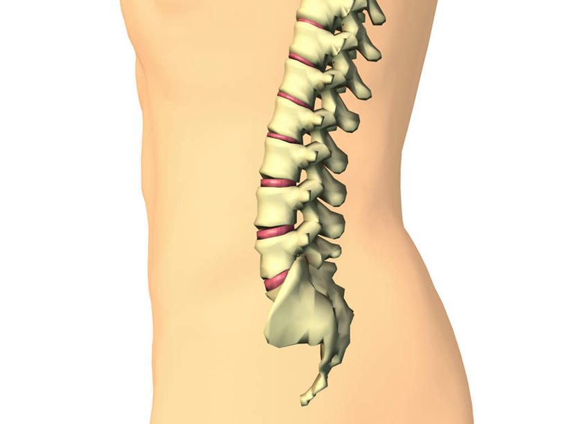 西方人,脊髓,骨盆,一个人,无人,横图,插画,室内,特写,白天,白色背景,正面,数码,科技,欧洲,欧洲人,仅一个男性,仅一个人,仅一个中年男性,阴影,网络,高光,几何,计算机图形,合成,图画,裸露,画,电脑合成图,数码合成图,合成图,裸,漫画,写实,具体,具象,骶骨,髋骨,尾骨,腰椎,胯骨,男人,男性,中年男性,白种人,脊柱,半身,彩图,尾椎骨