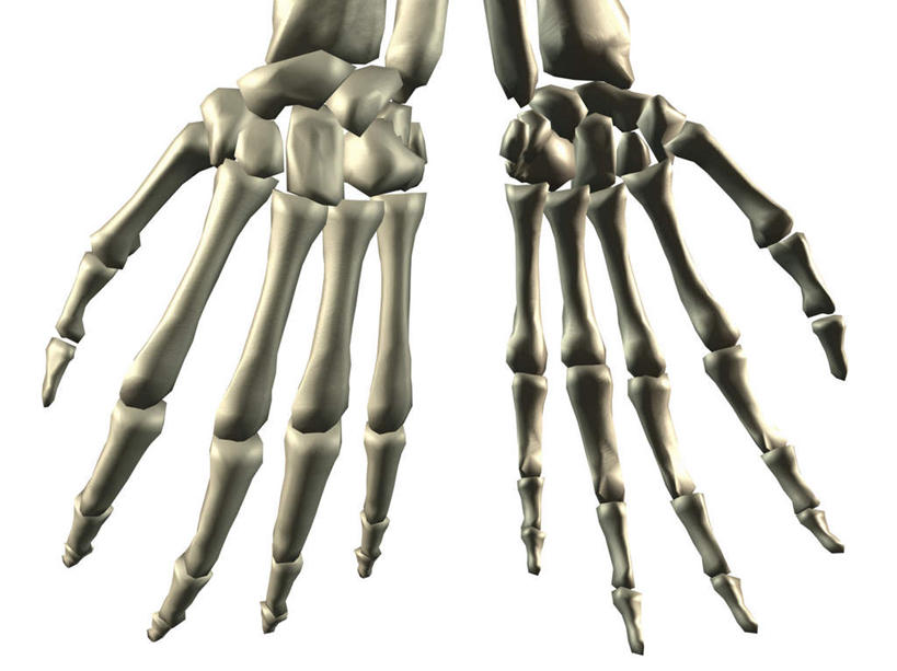 手,骨骼,无人,横图,插画,室内,特写,白天,白色背景,正面,数码,科技,双手,阴影,网络,骨头,高光,几何,计算机图形,合成,图画,画,两个,手部,电脑合成图,数码合成图,骨架,合成图,漫画,写实,具体,具象,尺骨,肱骨,桡骨,腕骨,掌骨,指骨,彩图
