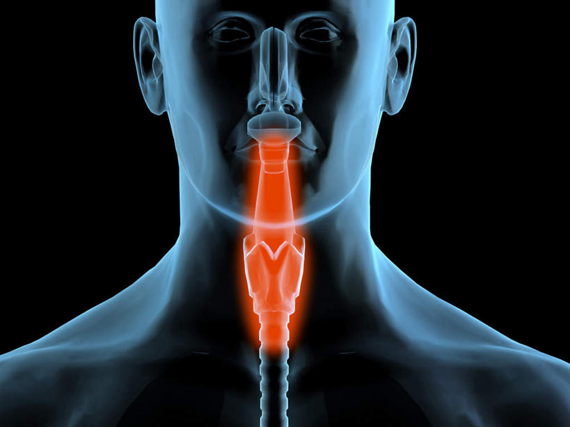 西方人,喉咙,内脏,动脉,静脉,一个人,无人,横图,插画,室内,特写,白天,正面,数码,科技,静物,欧洲,欧洲人,仅一个男性,仅一个人,阴影,黑色背景,网络,医学,高光,几何,计算机图形,系统,合成,图画,画,仅一个年轻男性,红色,模型,生病,人体,电脑合成图,数码合成图,生物学,人体器官,器官,合成图,呼吸,漫画,生理学,写实,具体,具象,呼吸系统,扁桃体,自然科学,博物学,男人,男性,年轻男性,白种人,舌头,半身,彩图,吐故纳新,气体交换