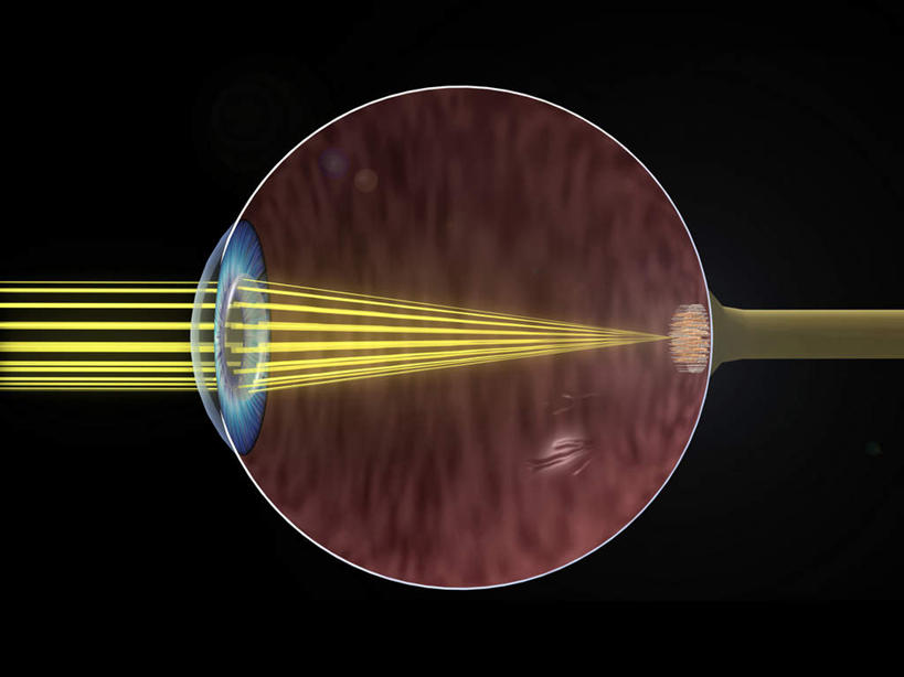 无人,横图,插画,室内,特写,白天,正面,数码,科技,静物,瞳孔,阴影,黑色背景,梦幻,发光,光束,网络,医学,光亮,高光,几何,计算机图形,合成,图画,画,模型,人体,眼部,电脑合成图,数码合成图,生物学,视网膜,眼球,人体器官,未来,器官,合成图,发亮,漫画,憧憬,生理学,写实,具体,具象,巩膜,角膜,视觉器官,眼房,眼球壁,眼,彩图