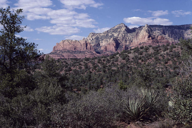 无人,横图,室外,白天,正面,旅游,度假,石头,美景,山,山脉,树林,植物,城市,美国,阴影,光线,石子,影子,景观,山峰,云,云朵,山峦,云彩,娱乐,树,树木,蓝色,绿色,白云,蓝天,天空,阳光,自然,群山,天,享受,休闲,景色,放松,生长,晴朗,成长,亚利桑那,北美,北美洲,自然风光,美洲,亚利桑那州,大峡谷之州,北亚美利加洲,亚美利加洲,塞多纳,石块,岩石,晴空,彩图