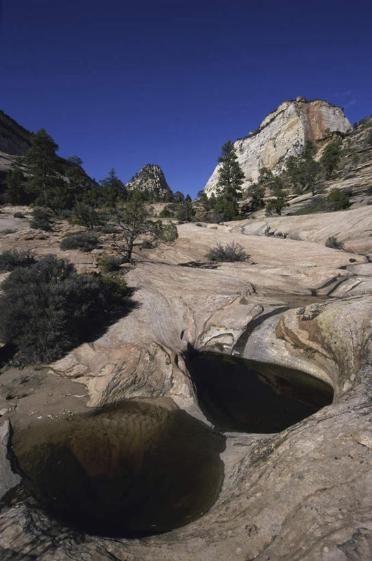 无人,公园,竖图,室外,白天,正面,旅游,度假,石头,美景,山,山脉,植物,美国,石子,洞,景观,山峰,山峦,娱乐,树,树木,绿色,自然,群山,享受,休闲,景色,放松,洞穴,生长,成长,北美,北美洲,犹他州,自然风光,美洲,穴,北亚美利加洲,亚美利加洲,犹他,蜂窝之州,蜂房州,锡安国家公园,宰恩国家公园,石块,岩石,彩图