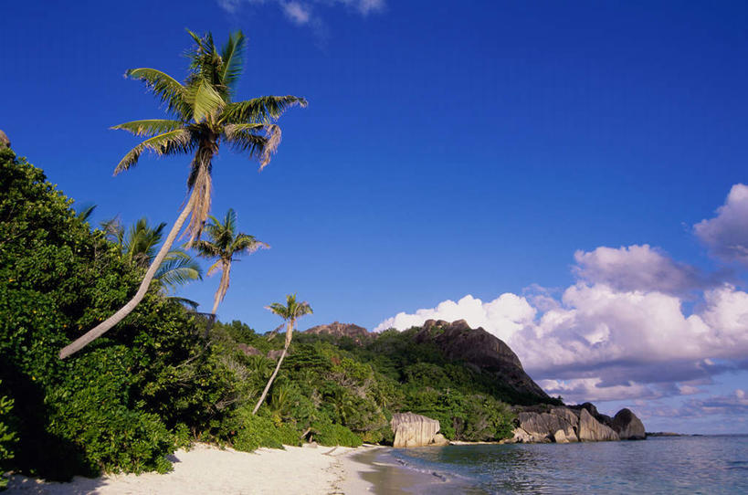 无人,横图,室外,白天,正面,旅游,度假,海浪,海洋,石头,美景,沙滩,树林,植物,椰树,非洲,塞舌尔,沙子,石子,海岸,景观,浪花,云,云朵,沙地,云彩,娱乐,树,树木,蓝色,绿色,白云,蓝天,天空,自然,海水,天,享受,休闲,景色,放松,生长,晴朗,成长,自然风光,海景,拉迪格岛,塞舌尔共和国,阿非利加洲,东非,大海,风浪,海,海水的波动,海滩,近岸浪,石块,涌浪,晴空,棕榈,椰子树,彩图