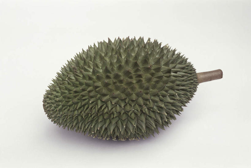 无人,横图,俯视,室内,特写,白天,白色背景,水果,阴影,新鲜,反射,影子,生食,食品,果实,榴莲,食物,一个,摄影,有机食品,绿色食品,影棚,单个,麝香猫果,水果之王,彩图,高角度拍摄,影棚拍摄,拍摄