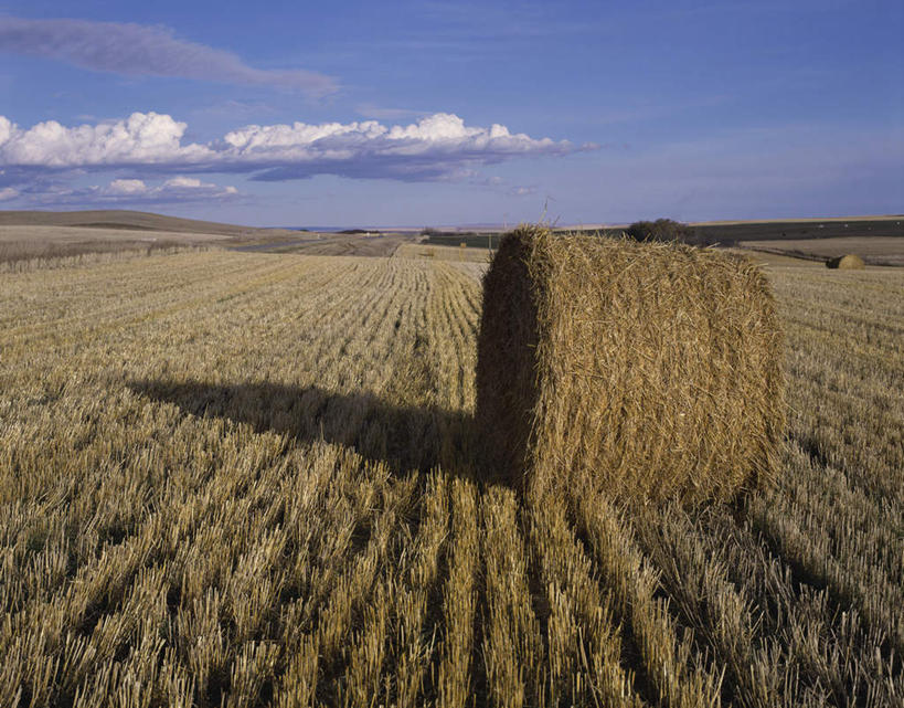 无人,农场,横图,室外,白天,正面,旅游,度假,畜牧业,牧场,美景,加拿大,阴影,光线,影子,景观,云,云朵,干草,云彩,娱乐,蓝色,白云,蓝天,天空,阳光,自然,草垛,天,享受,休闲,景色,放松,晴朗,北美,北美洲,自然风光,美洲,阿尔伯塔省,畜牧,阿尔伯塔,牧业,北亚美利加洲,亚美利加洲,艾伯塔,艾伯塔省,干草垛,晴空,彩图