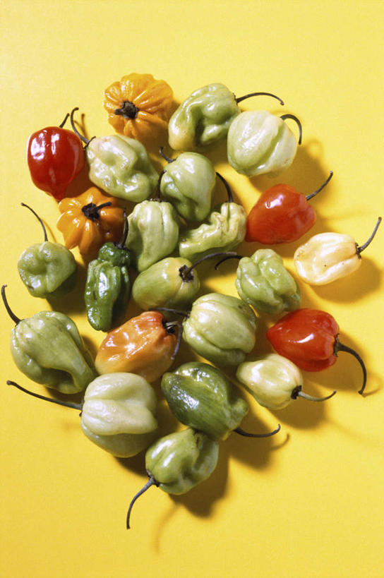 无人,竖图,俯视,室内,特写,白天,辣椒,一堆,许多,阴影,堆叠,堆积,黄色背景,反射,影子,摄影,影棚,堆,辣角,大椒,辣虎,广椒,墨西哥辣椒,哈雷派尼奥,哈雷派尼奥辣椒,辣子,海椒,番椒,彩图,高角度拍摄,影棚拍摄,拍摄