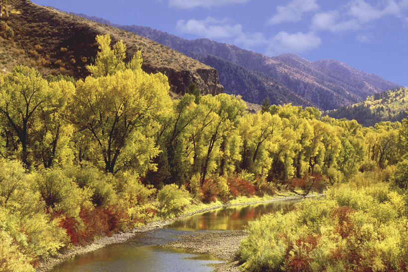 无人,公园,横图,室外,白天,正面,旅游,度假,美景,秋季,森林,山,山脉,树林,植物,美国,阴影,光线,影子,景观,山峰,云,云朵,山峦,云彩,娱乐,树,树木,蓝色,绿色,白云,蓝天,天空,阳光,自然,群山,天,享受,休闲,景色,放松,生长,晴朗,成长,北美,北美洲,国家公园,自然风光,美洲,怀俄明州,怀俄明,蛇河,大提顿国家公园,北亚美利加洲,亚美利加洲,平等之州,大蒂顿国家公园,大堤顿国家公园,大提顿公园,晴空,秋,秋天,彩图