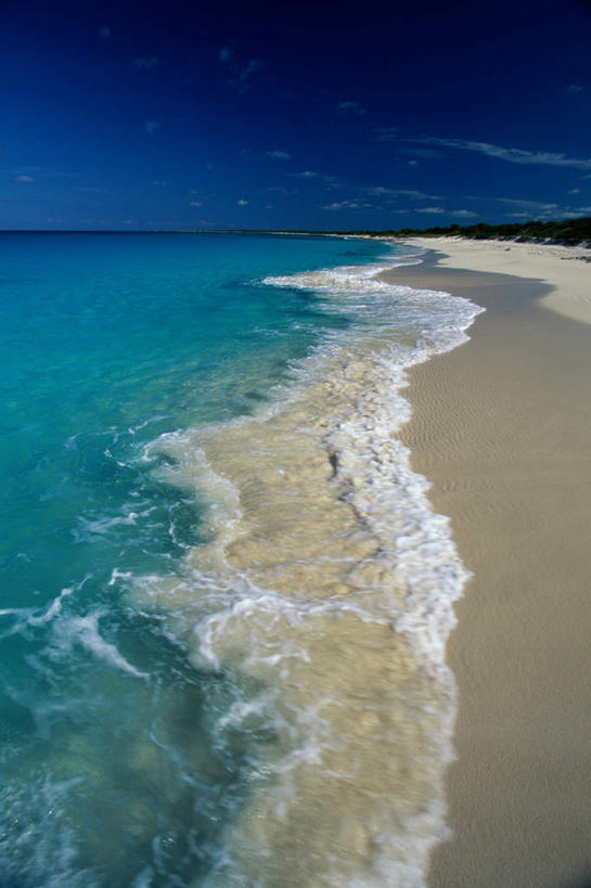 无人,竖图,室外,白天,正面,旅游,度假,海浪,海洋,美景,沙滩,植物,棕榈树,叶子,阴影,光线,沙子,影子,海岸,景观,浪花,水平线,云,云朵,辽阔,绿叶,海平线,沙地,云彩,娱乐,树,树木,蓝色,绿色,白云,蓝天,天空,阳光,自然,海水,天,享受,休闲,广阔,嫩叶,景色,南美,放松,生长,晴朗,成长,一望无际,南美洲,西印度群岛,拉丁美洲,自然风光,美洲,海景,棕榈叶,亚美利加洲,南亚美利加洲,凯科斯群岛,特克斯群岛,无边无际,一马平川,叶,叶片,大海,风浪,海,海水的波动,海滩,近岸浪,涌浪,晴空,彩图,水天相接,水天一线