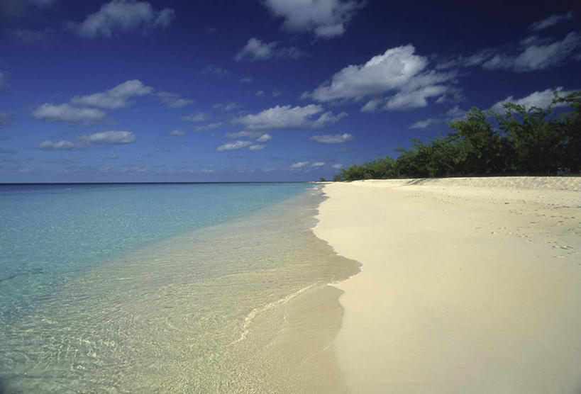 无人,横图,室外,白天,正面,旅游,度假,海浪,海洋,美景,沙滩,植物,棕榈树,叶子,阴影,光线,沙子,影子,海岸,景观,浪花,水平线,云,云朵,辽阔,绿叶,海平线,沙地,云彩,娱乐,树,树木,蓝色,绿色,白云,蓝天,天空,阳光,自然,海水,天,享受,休闲,广阔,嫩叶,景色,南美,放松,生长,晴朗,成长,一望无际,南美洲,西印度群岛,拉丁美洲,自然风光,美洲,海景,棕榈叶,亚美利加洲,南亚美利加洲,凯科斯群岛,特克斯群岛,无边无际,一马平川,叶,叶片,大海,风浪,海,海水的波动,海滩,近岸浪,涌浪,晴空,彩图,大特克岛,水天相接,水天一线