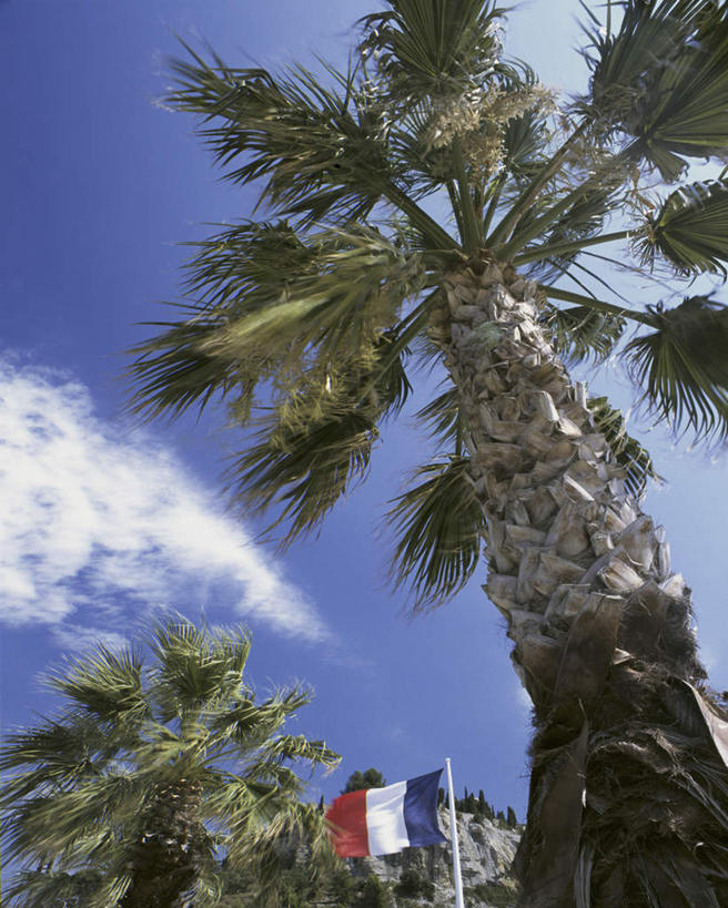 无人,竖图,室外,白天,仰视,旅游,度假,美景,植物,棕榈树,旗帜,国旗,叶子,法国,欧洲,一面,阴影,飘扬,光线,影子,景观,云,云朵,绿叶,云彩,娱乐,树,树木,蓝色,绿色,白云,蓝天,天空,阳光,自然,天,享受,休闲,嫩叶,景色,放松,生长,晴朗,成长,飘逸,自然风光,飞扬,棕榈叶,卡西斯,法国国旗,法兰西共和国,法兰西第五共和国,罗纳河口,普罗旺斯.阿尔卑斯.蓝色海岸,普罗旺斯.阿尔卑斯.蓝色海岸大区,罗讷河口省,叶,叶片,旗,晴空,彩图,低角度拍摄,三色旗
